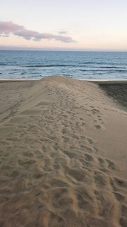 GC-Dunas de Maspalomas sunset 2026-013.jpg